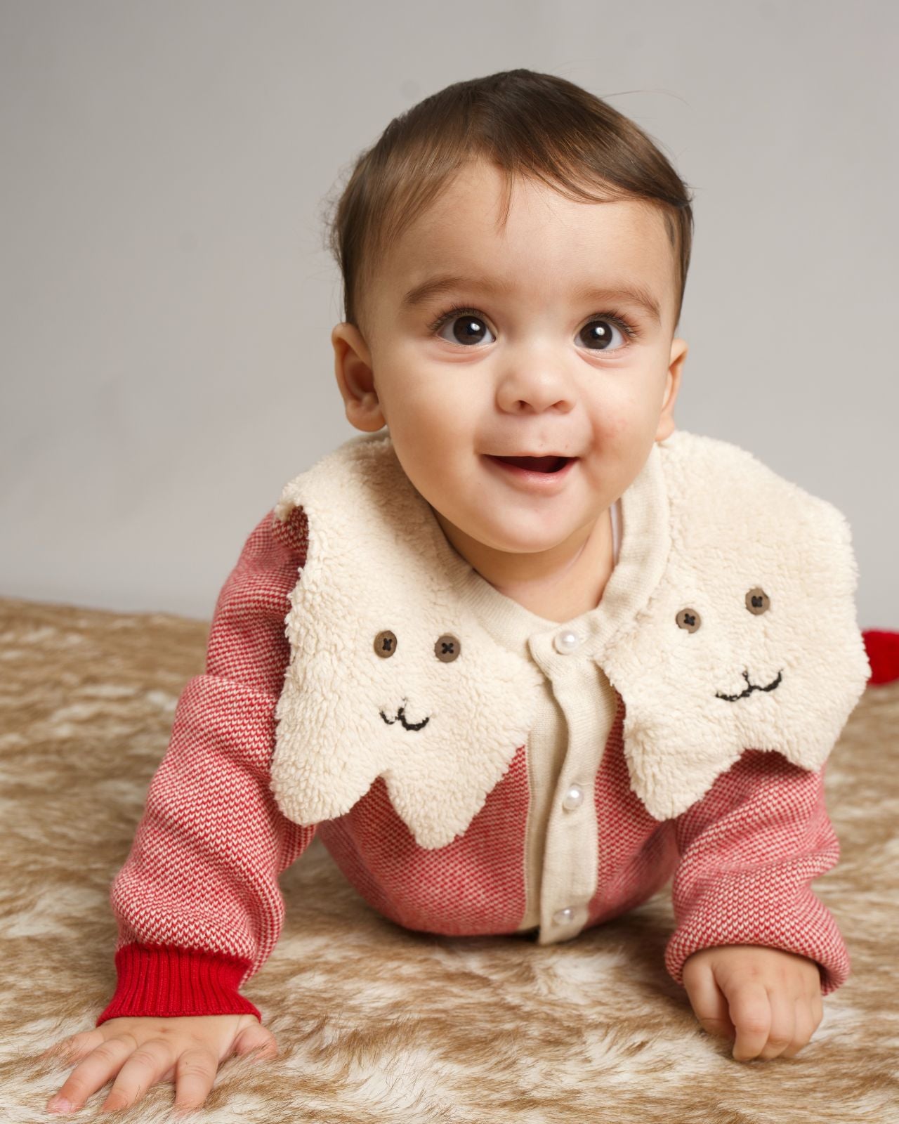 Wiskers  Jacquard Sweater - Red