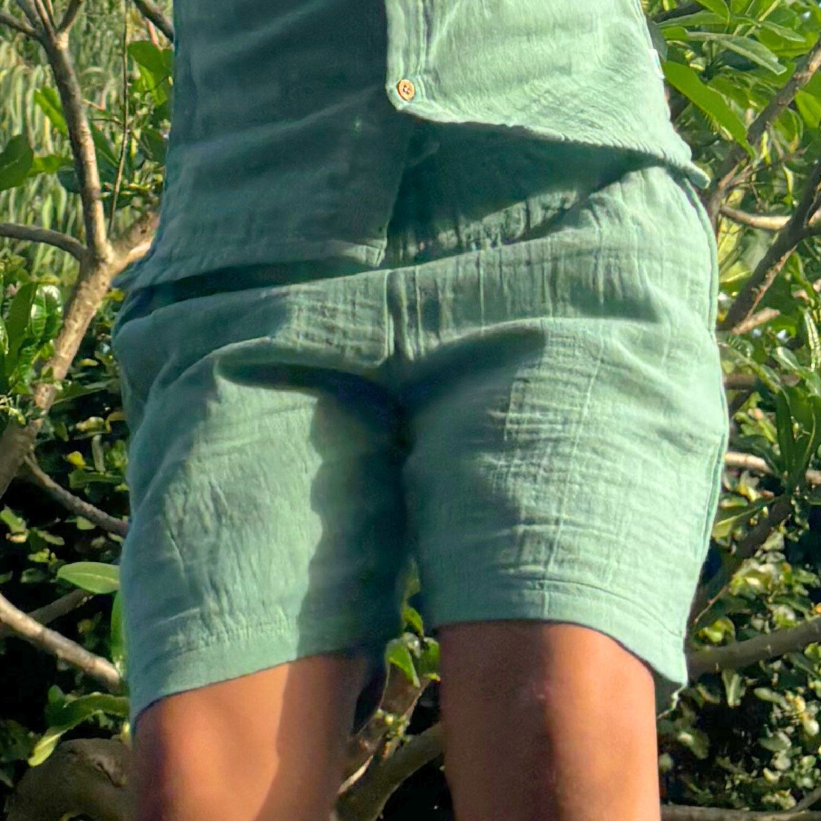 Resort Collar Shirt with Shorts Set of 3 Sea Weed