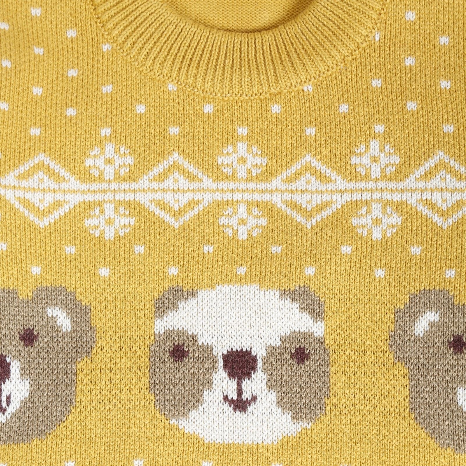 Greendeer Enchanting Bear & Cheerful Dog 100% Cotton Sweater with Lower Set of 4
