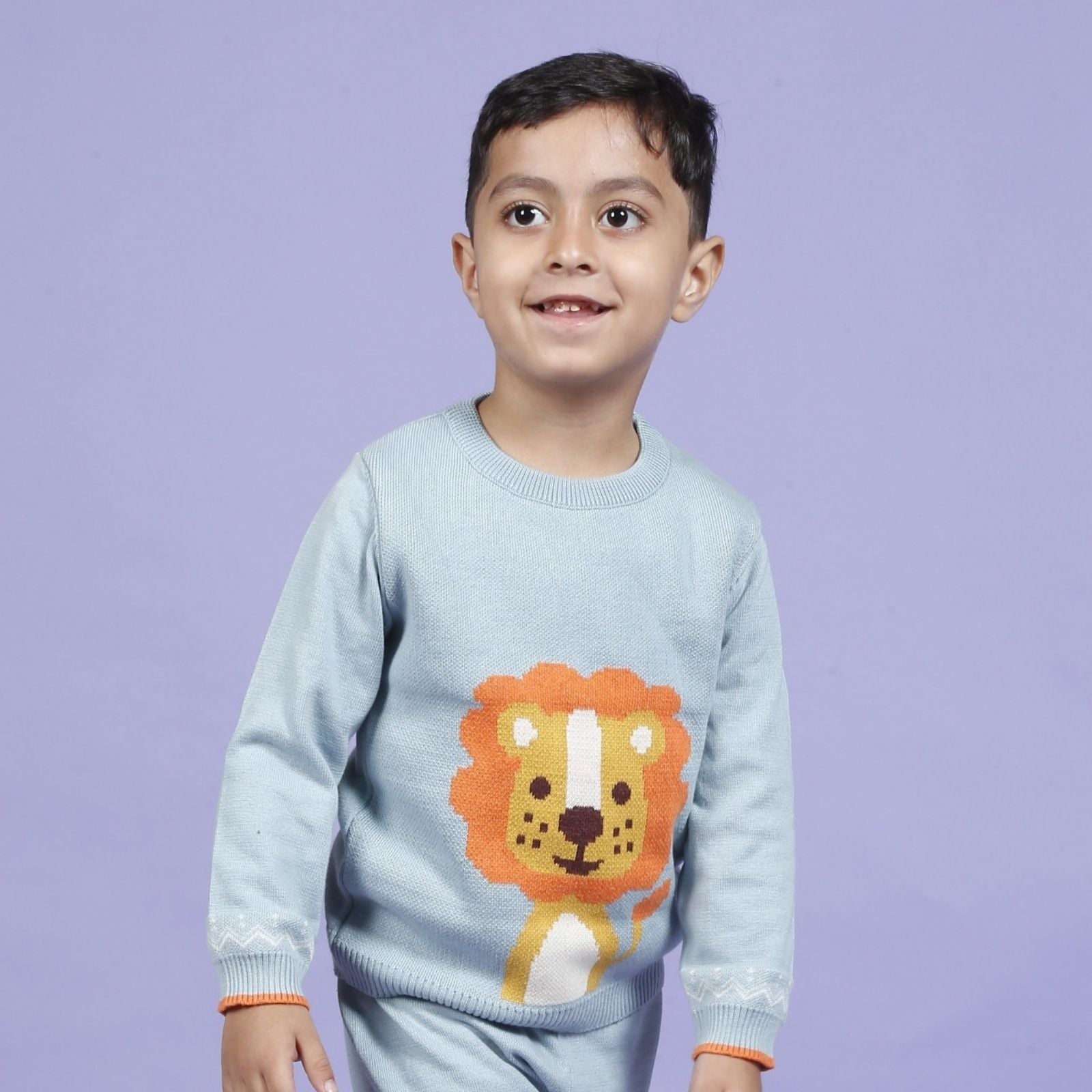 Greendeer Delighted Lion & Sunny Fox 100% Cotton Sweater Set of 2