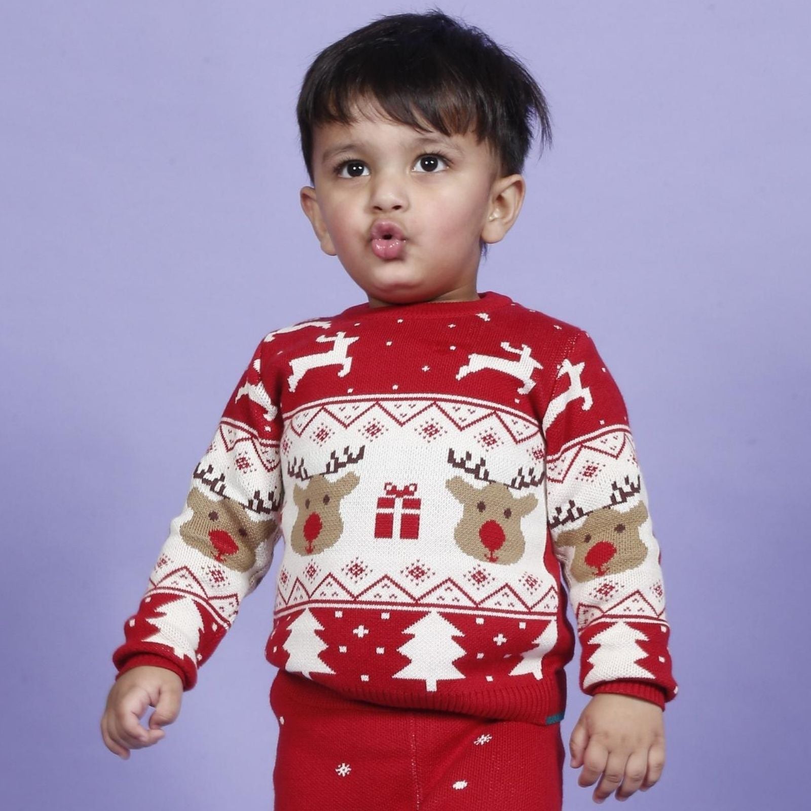 Greendeer Jaunty Reindeer & Hearth Warming Bear 100% Cotton Sweater with Lower Set of 4