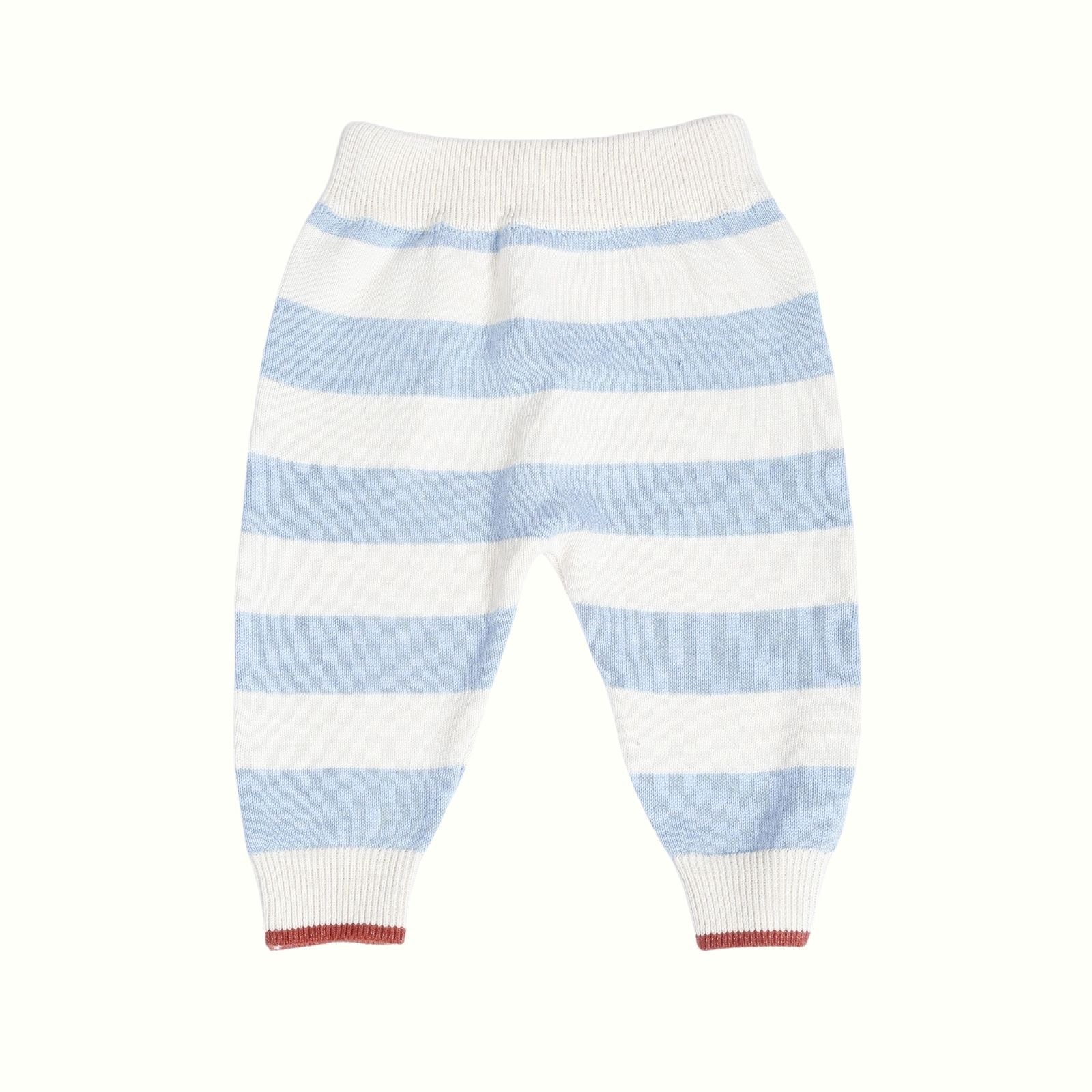 Greendeer Soulful Tiger Patch 100% Cotton Sweater with Lower - Baby Blue - Set of 2