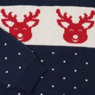 Soulful Reindeer Jacquard Navy Sweater